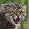 อะไรครับเนี่ยยยยยย profil fotoğrafı