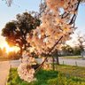 Фото профиля ちこ
