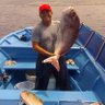 Miguel Artiles Alemán's profile picture