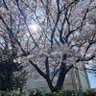 ブンブン 的头像