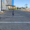 أمٌّ لقمرين 的头像