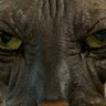 Profilbild von Jak Wadd