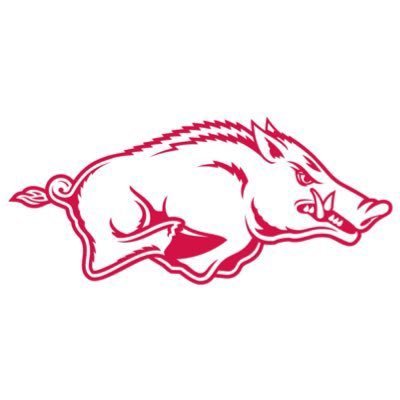 W00PIGS000IE's profile picture