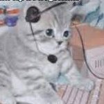 lyrroht's profile picture