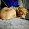 Christopher's profile picture