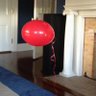 Dorinda’s Red Balloon's profile picture