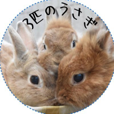sanbiki4123's profile picture