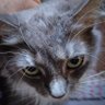 Profilbild von Jimbo Cooper