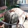Biggar Man profil fotoğrafı