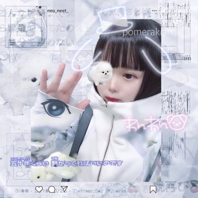 ぽめにゃかも's profile picture