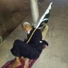 Фото профиля Mir Nawaz