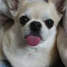 ゆみっち's profile picture