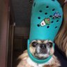 mukDa's profile picture