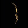 Omoding's profile picture