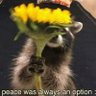 Profilbild von PaliPali!!