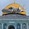 Фото профиля عبد الحميد ارطيش