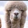 My_D_Thoughs_?'s profile picture