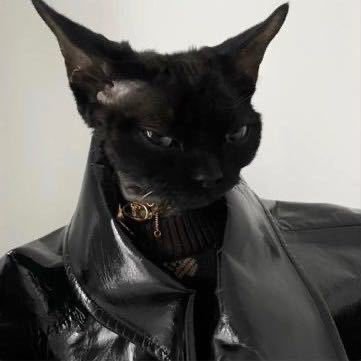 RoyDommm's profile picture