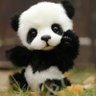 P'Bear profil fotoğrafı