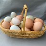 The Wicker Basket Homestead's profile picture