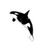 Kila Whale 的头像