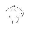 Carpincho de Derecha (Right-wing Capybara)'s profile picture