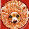 Profilbild von ããã¡ãðŸ