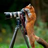 Profilbild von Andrew Maingi