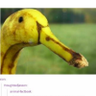 Sareth Eldair's profile picture