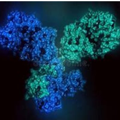molbio08's profile picture