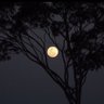 سبحان الله..'s profile picture