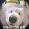 小豆芽 的头像