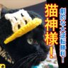Profilbild von あつあつ
