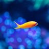 Фото профиля microfish