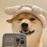 小白不会打狙啊's profile picture