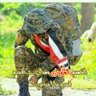 ذو القرنين اليماني's profile picture