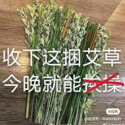 mododuonv's profile picture