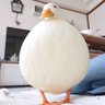 jxck profil fotoğrafı
