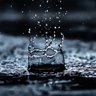 Фото профиля Evin