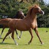 Фото профиля مستخدم تويتر