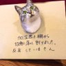 Yamato 的头像