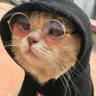 |̲̲̲͡͡͡ ̲▫̲͡ ̲̲̲͡͡π̲̲͡͡ ̲̲͡▫̲̲͡͡ ̲|̡̡̡ ̡ ̴̡ı̴ profil fotoğrafı