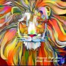 Pi advocator profil fotoğrafı