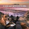 El amante de los perros 的头像