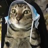 YiloveU profil fotoğrafı