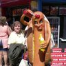 Lynne Cameron's profile picture