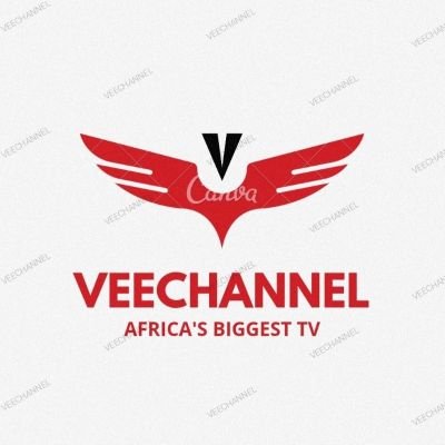 VEECHANNELS's profile picture