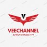 VEECHANNEL💙's profile picture