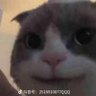 安兹乌尔恭's profile picture