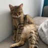 Relechkaaa profil fotoğrafı